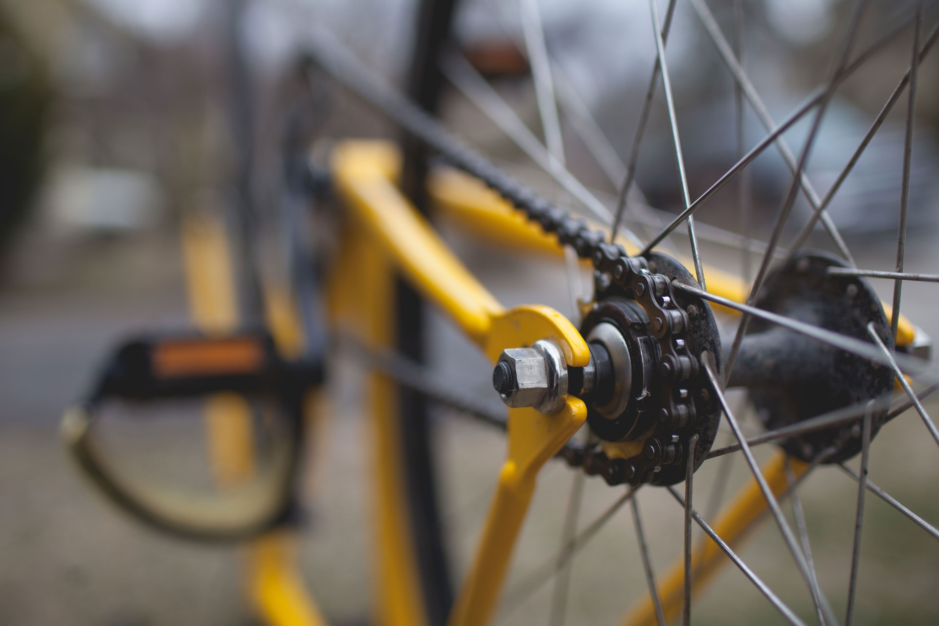 Home Bike Service. How to prepare your bike for the season?