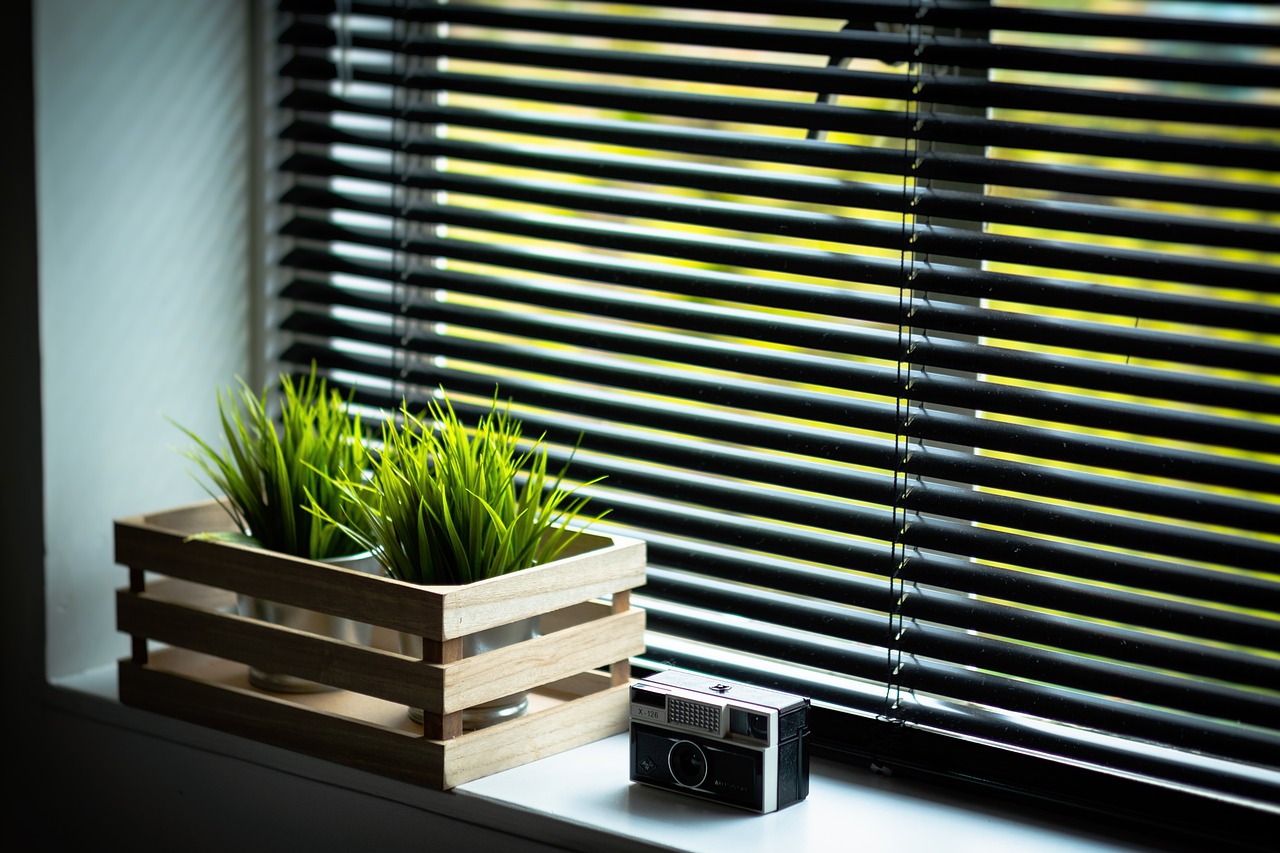 Explore the reasons to buy blinds
