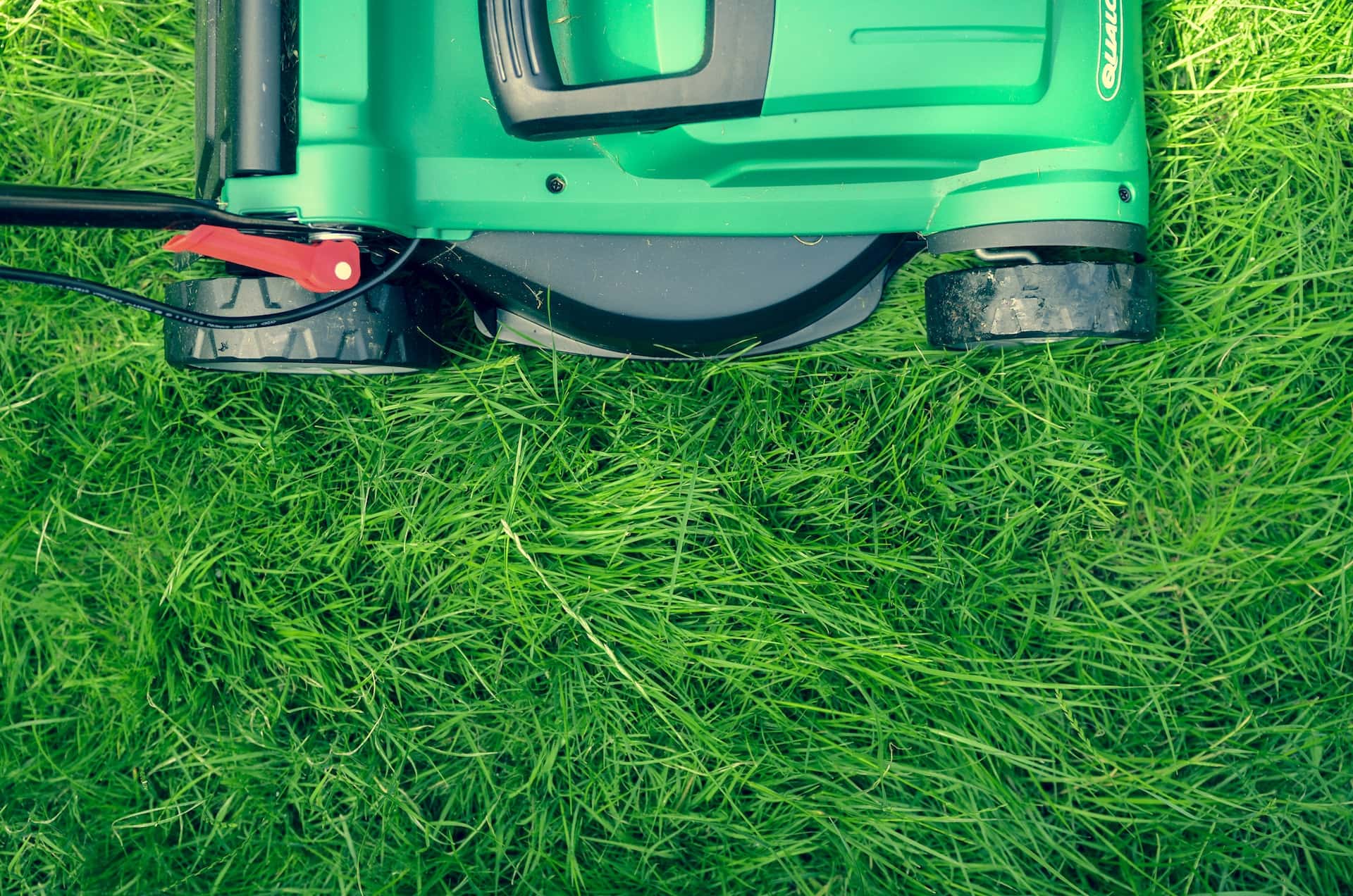 Mowing the lawn in the summer – why give it up?