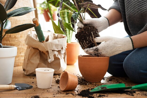 Sustainable gardening practices for a greener home
