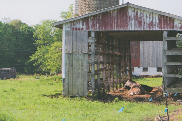 Exploring the advantages of custom pole barns and their construction techniques